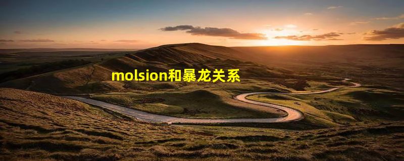 molsion和暴龙关系