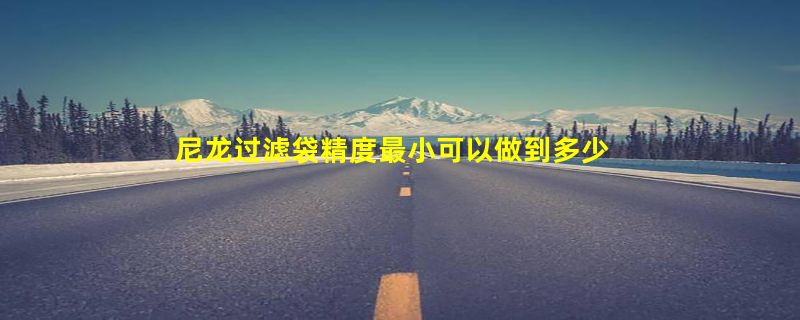 尼龙过滤袋精度最小可以做到多少目？