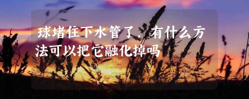 球堵住下水管了，有什么方法可以把它融化掉吗