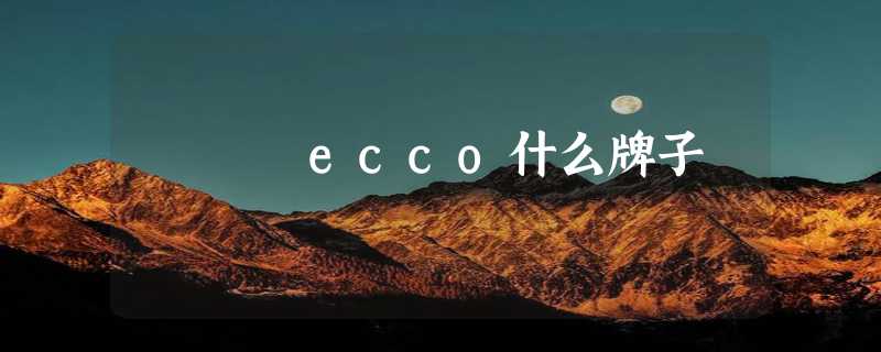 ecco什么牌子