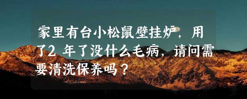 家里有台小松鼠壁挂炉，用了2年了没什么毛病，请问需要清洗保养吗？