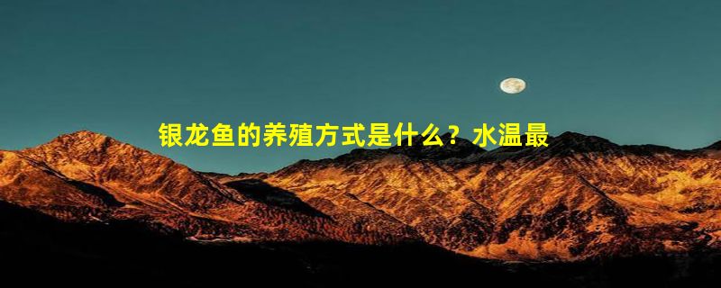 银龙鱼的养殖方式是什么？水温最高是多少,最低是多少?