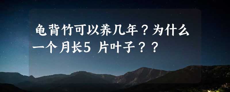 龟背竹可以养几年？为什么一个月长5片叶子？？