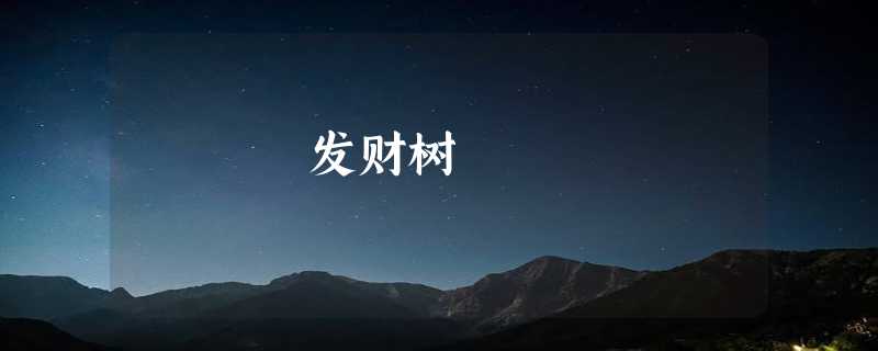 发财树