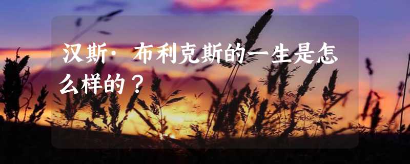 汉斯·布利克斯的一生是怎么样的？