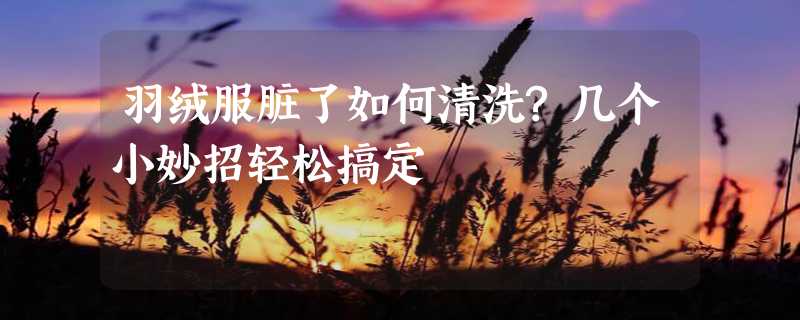 羽绒服脏了如何清洗?几个小妙招轻松搞定