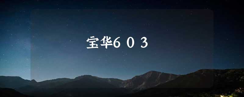 宝华603