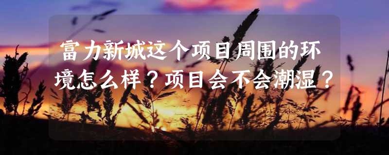 富力新城这个项目周围的环境怎么样？项目会不会潮湿？