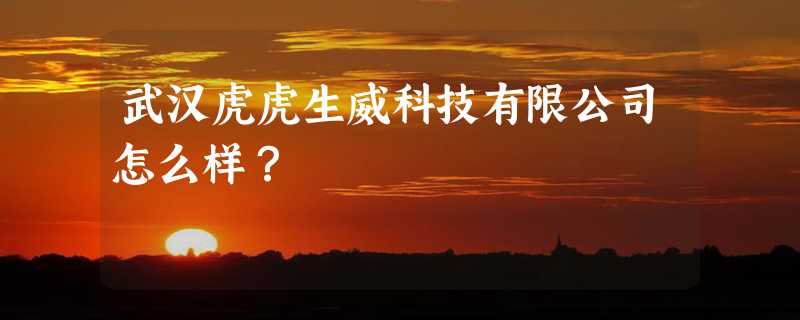 武汉虎虎生威科技有限公司怎么样？