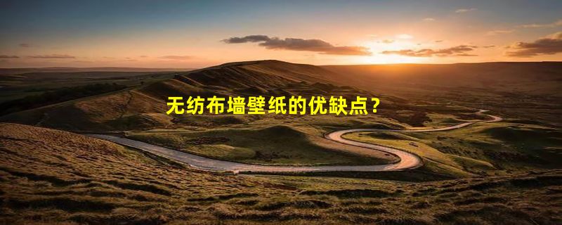 无纺布墙壁纸的优缺点？