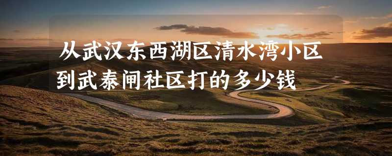 从武汉东西湖区清水湾小区到武泰闸社区打的多少钱