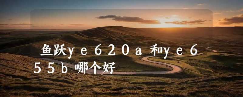 鱼跃ye620a和ye655b哪个好