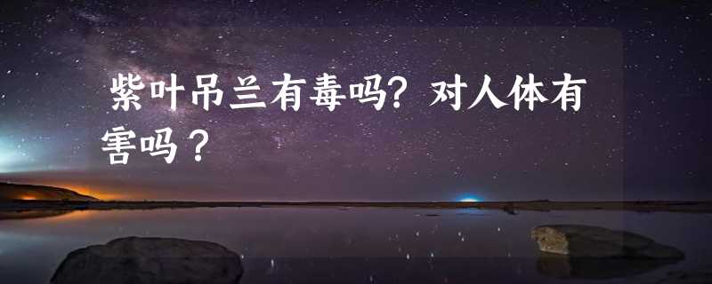 紫叶吊兰有毒吗?对人体有害吗？