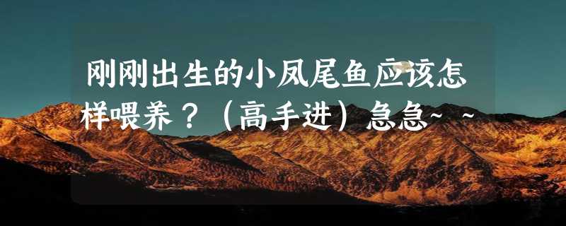 刚刚出生的小凤尾鱼应该怎样喂养？（高手进）急急~~