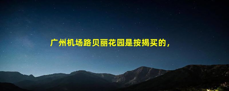 广州机场路贝丽花园是按揭买的，能用来抵押吗，新房交易税费怎么算？