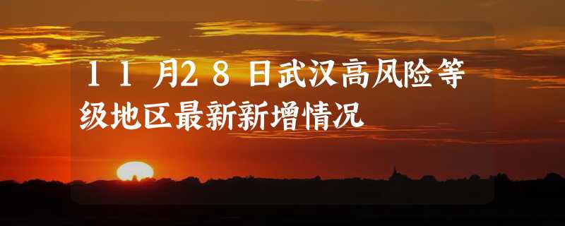 11月28日武汉高风险等级地区最新新增情况