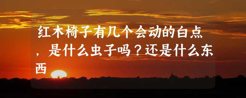 红木椅子有几个会动的白点,是什么虫子吗？还是什么东西