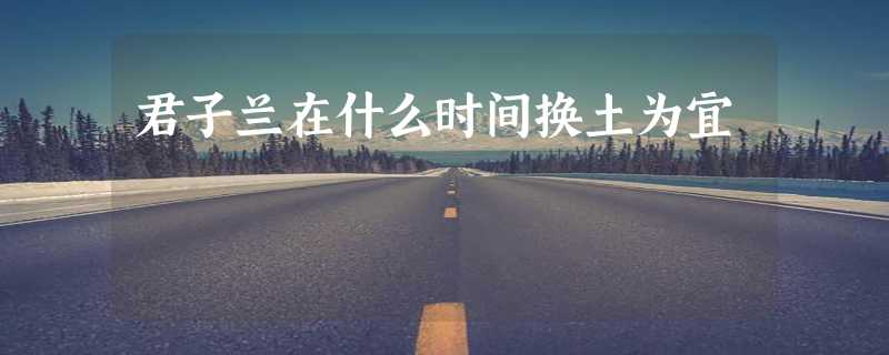 君子兰在什么时间换土为宜