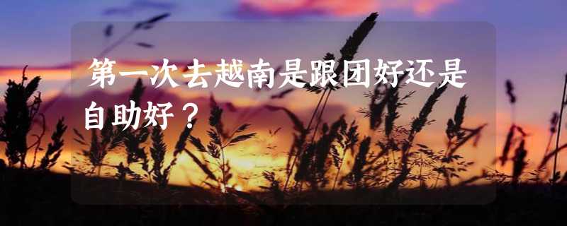 第一次去越南是跟团好还是自助好？