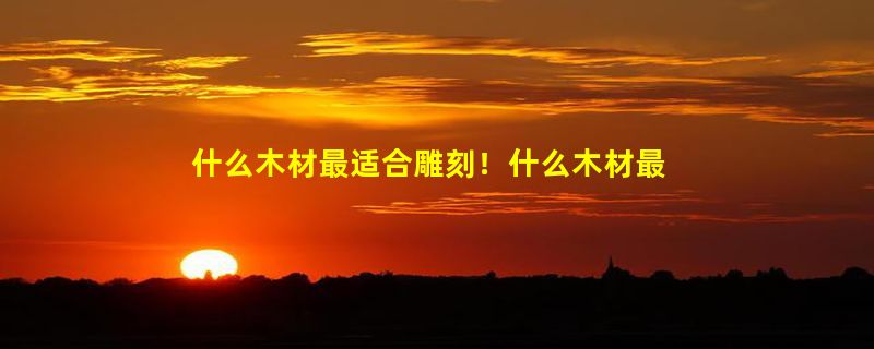 什么木材最适合雕刻！什么木材最珍贵