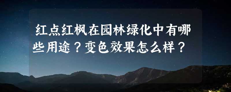 红点红枫在园林绿化中有哪些用途？变色效果怎么样？